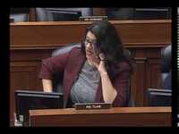 Rep. Tlaib to Census Bureau Director